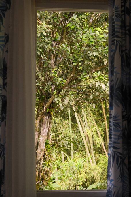 Cabaña Lantana en Mambú — foto 4
