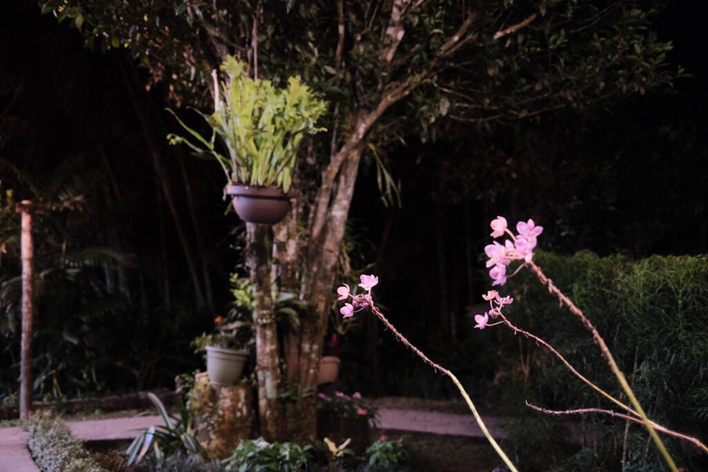 Cabaña Lantana en Mambú — foto 12