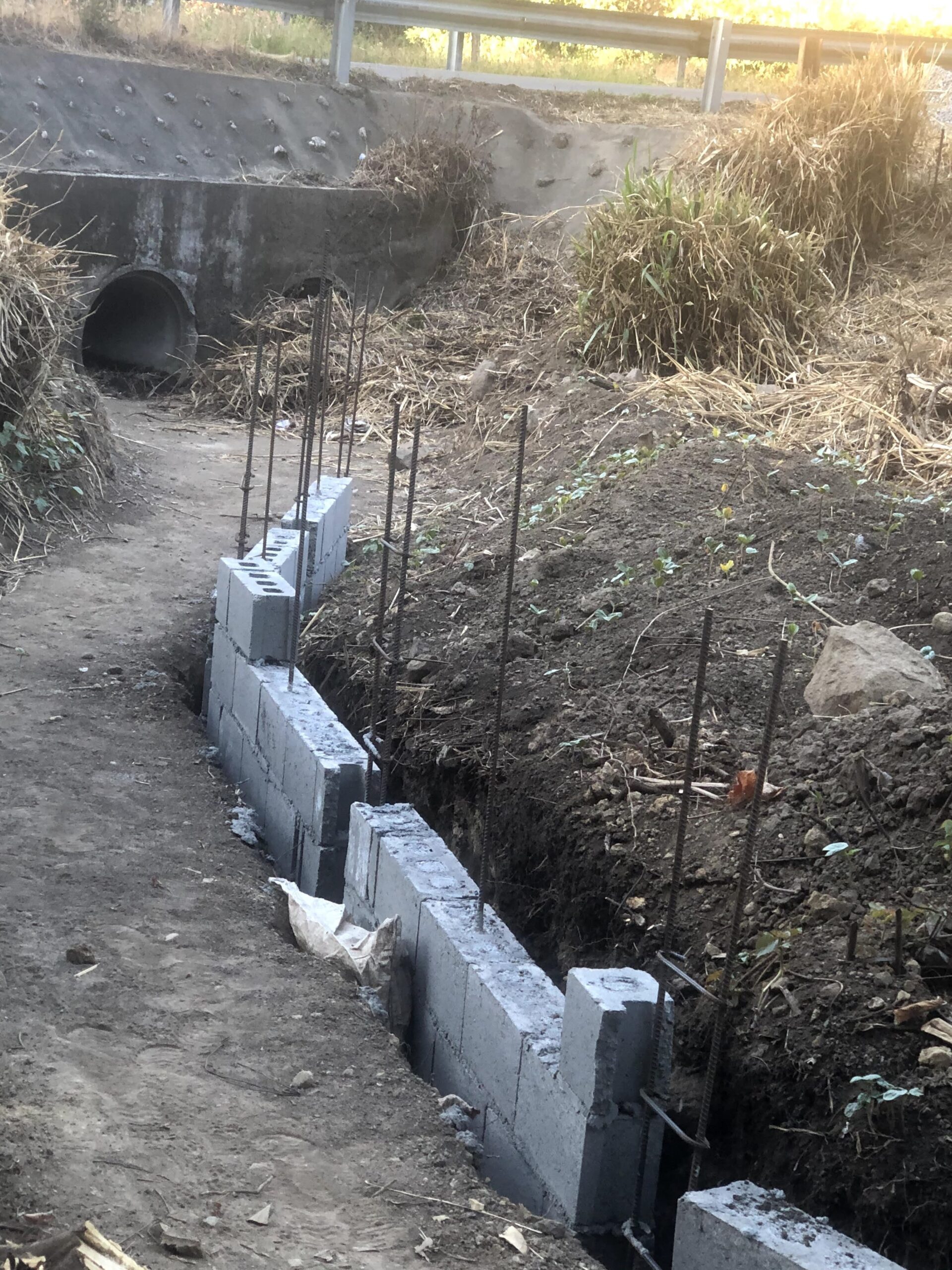 Proyecto de landscaping — ¡Es Posible!
