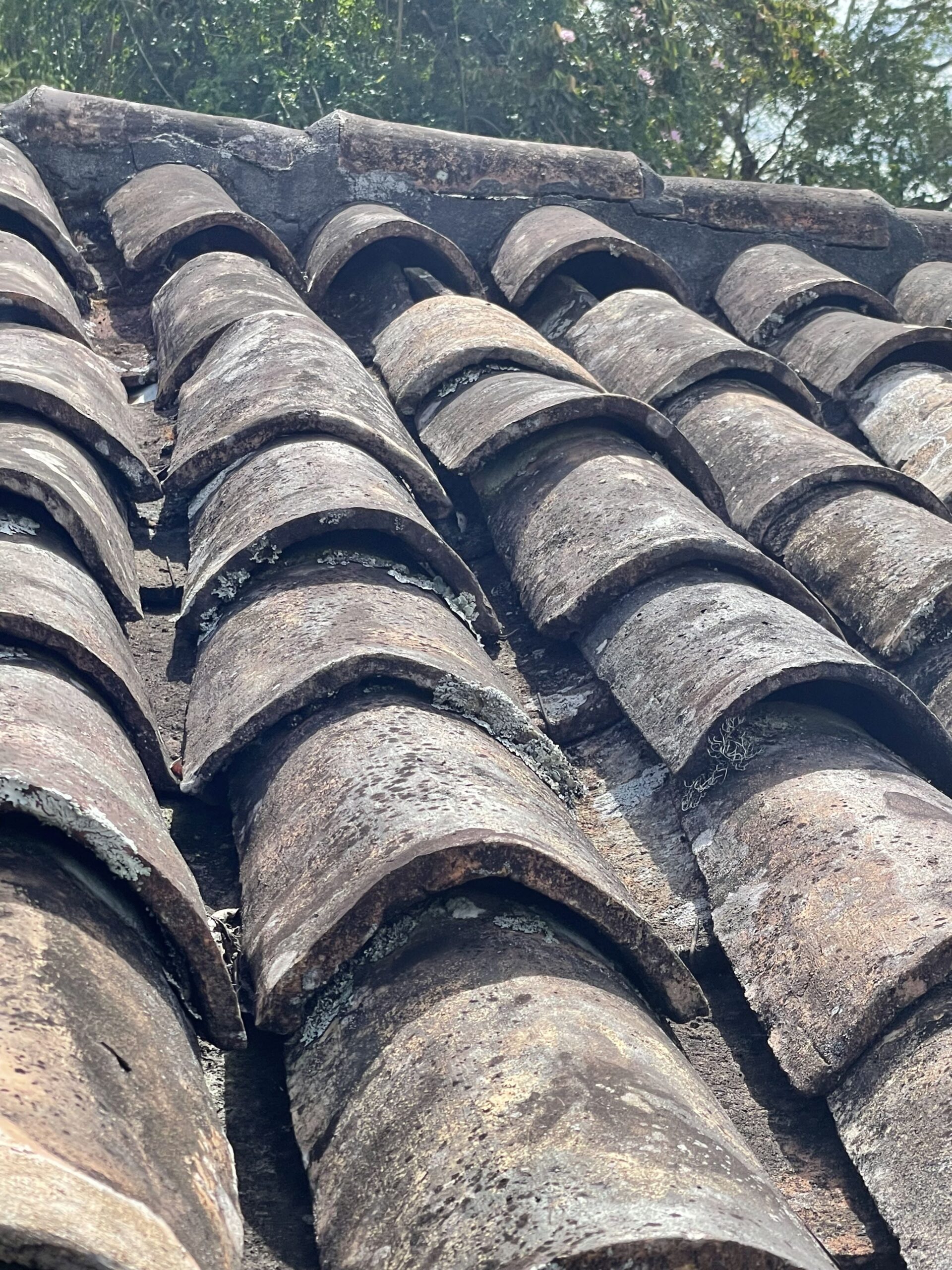 Proyecto de roofs — ¡Es Posible!