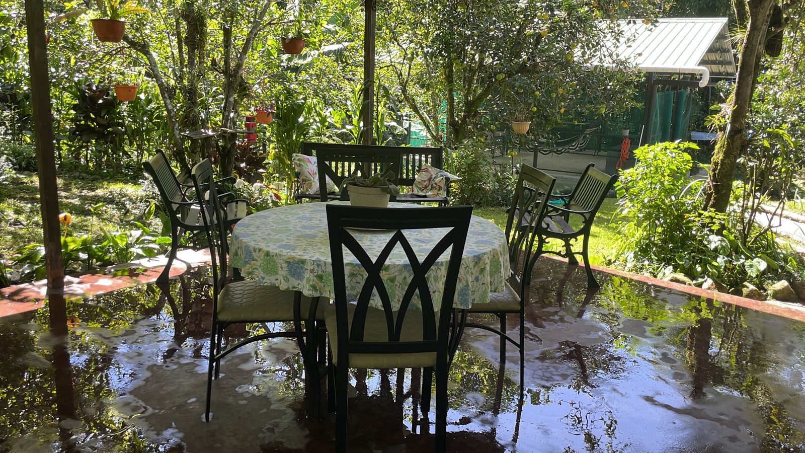 Jardín tropical de Mambú Guest House en Boquete